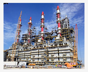 抖圈·(中国尊龙)为du而生官网